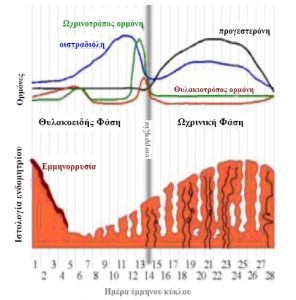 έμμηνος κύκλος και ορμόνες