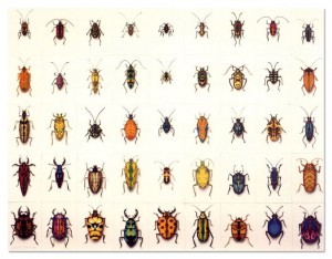 bugs_200026