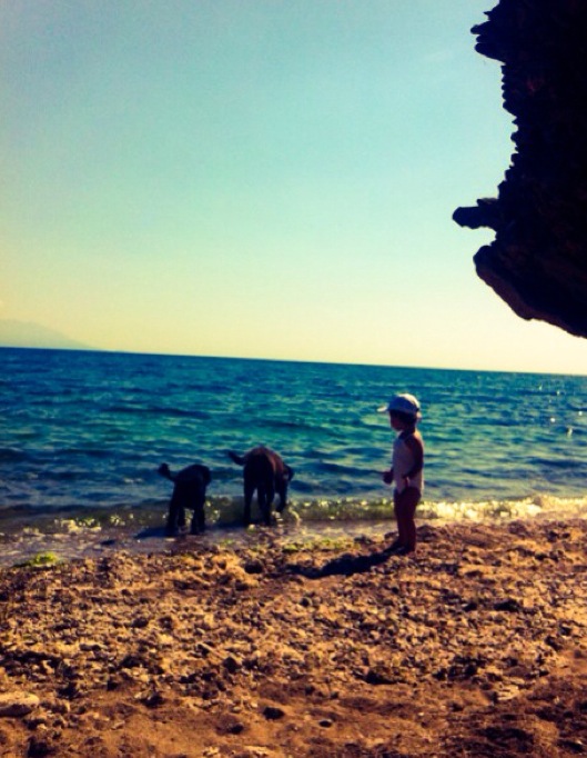 παιδί παραλία θάλασσα με σκυλιά
