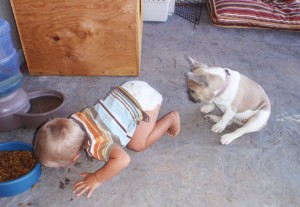 kids-act-like-animals-eating-from-dogs-bowl__605